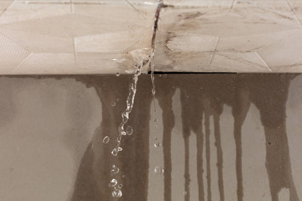 Professional Water Damage Repair technician working in Monongahela, PA